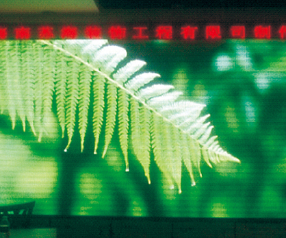 ����ʡ��ͤ�����������ΈD��(sh��)�^